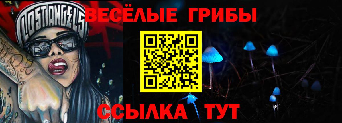 Галлюциногенные грибы мицелий  Вход с VPN  Тулун 